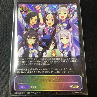 Spinning Thoughts SL