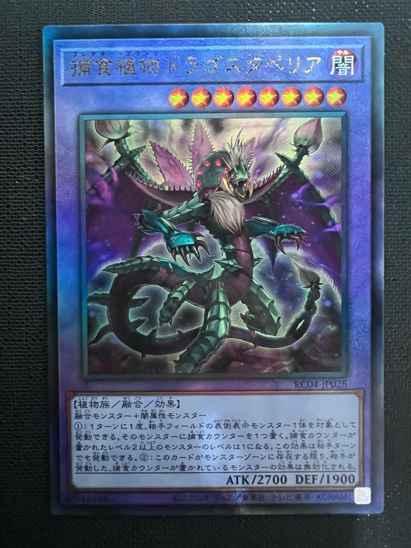 Predaplant Dragostapelia Extra Secret