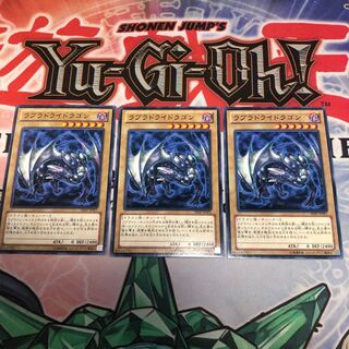 【もふもふ】ラブラドライドラゴン