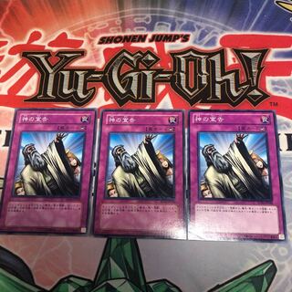 【もふもふ】神の宣告