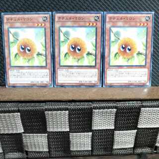 【ぽぽたん】遊戯王  #1768  ナチュル・マロン  ノーマル  3枚