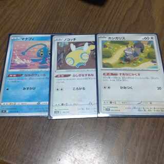 ホシガリス　ノコッチ　マナフィ