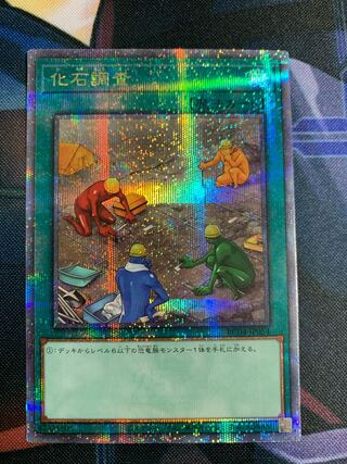 Fossil Dig QSE JP054