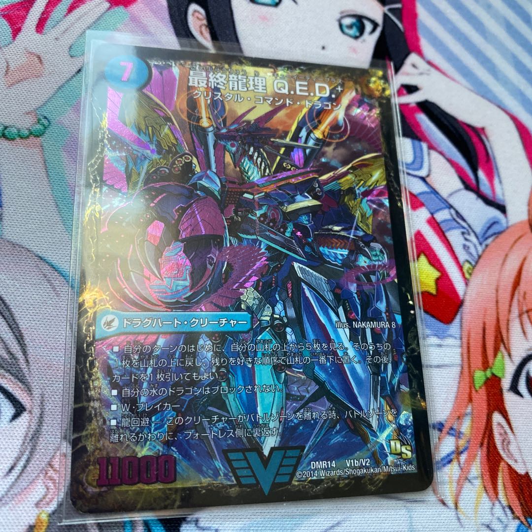 Pseudoplatystoma elegans (species of spadefish found in the Western Pacific)