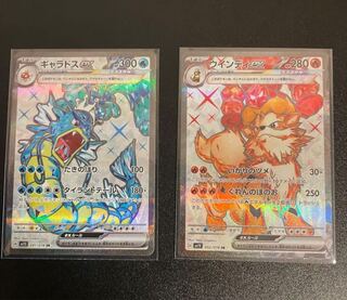 GyaradosEX SR Windy exSR