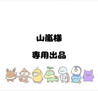 【山嵐様】専用