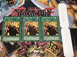 体温の上昇 初期 レア 3枚セット