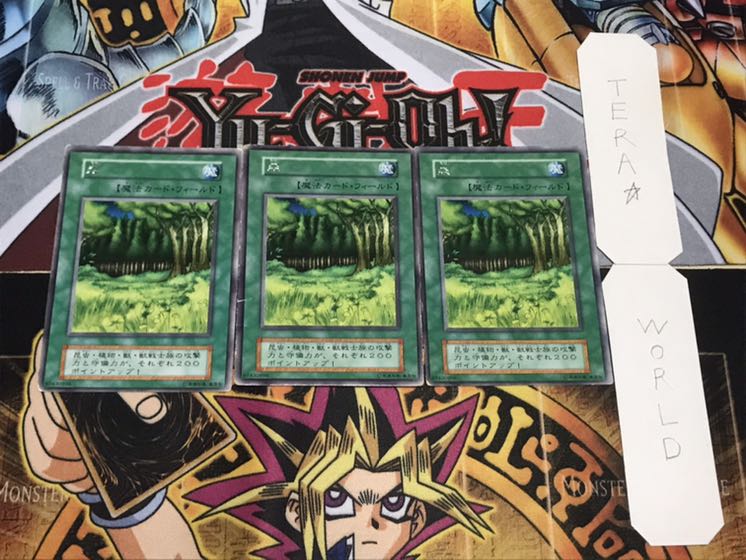 森 初期 レア 3枚セット 3枚