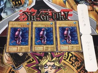 カクタス 初期 レア 3枚セット