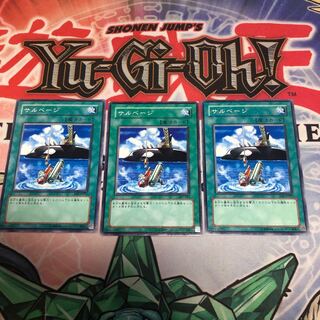 【もふもふ】サルベージ