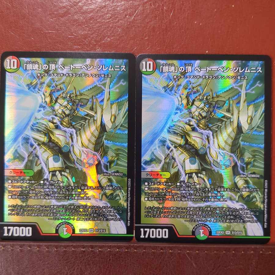 dhp set discount The Peak of "Requiem" Beethoven Solemnis SR S13/S15