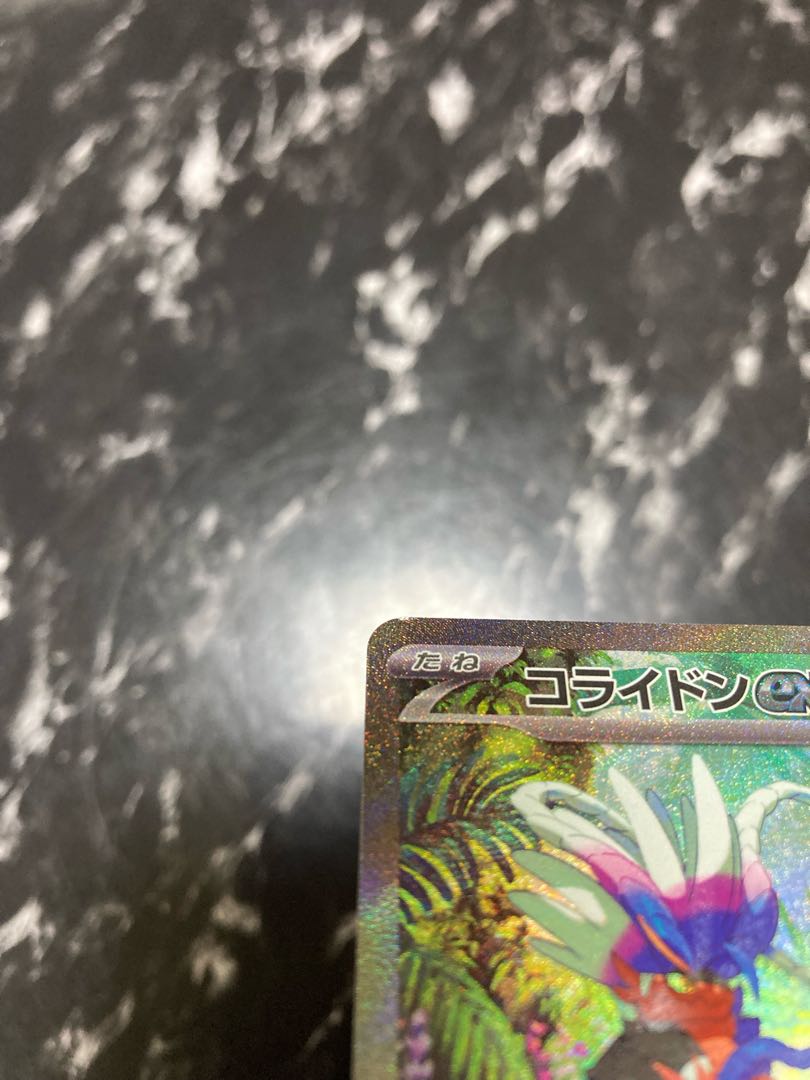 Exclusive for Cat Samurai