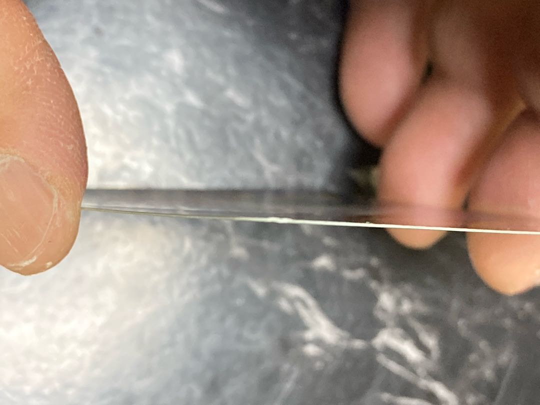 Exclusive for Cat Samurai