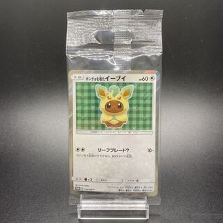 ポンチョを着たイーブイ 142/SM-P」の激安通販 | magi