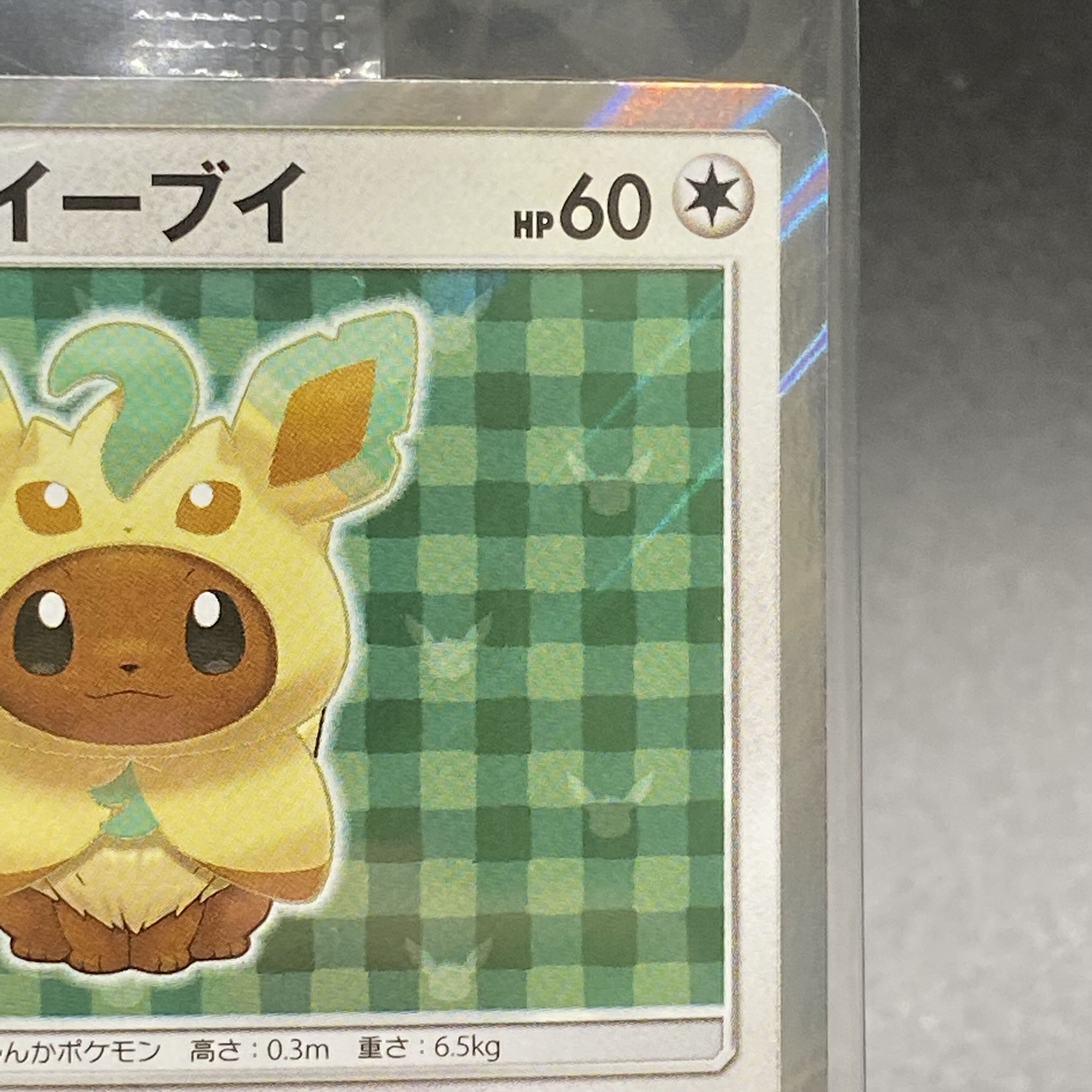 Eevee PROMO 142/SM-P in poncho, unopened.