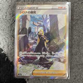 Cynthia's high energy sar