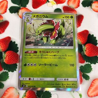 Grass Meganium☆Evolution Set