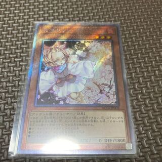 Early birds! Ash Blossom & Joyous Spring Extra Secret EXSE JP009