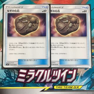 なぞの化石 2枚