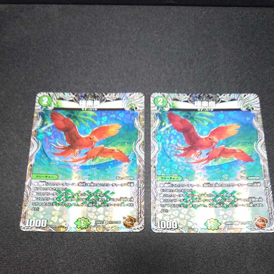 Birds of Paradise R TF12/TF20 Copper Treasure [1429].