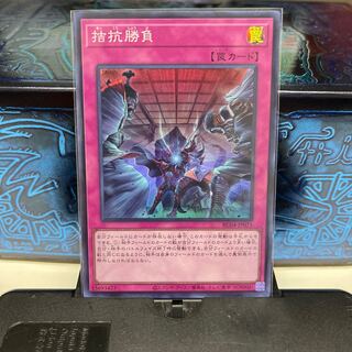 No.797 P屋 Evenly Matched [Sioux