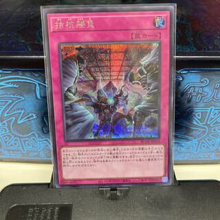 No.1590 P屋 Evenly Matched [Siku] [Sup.