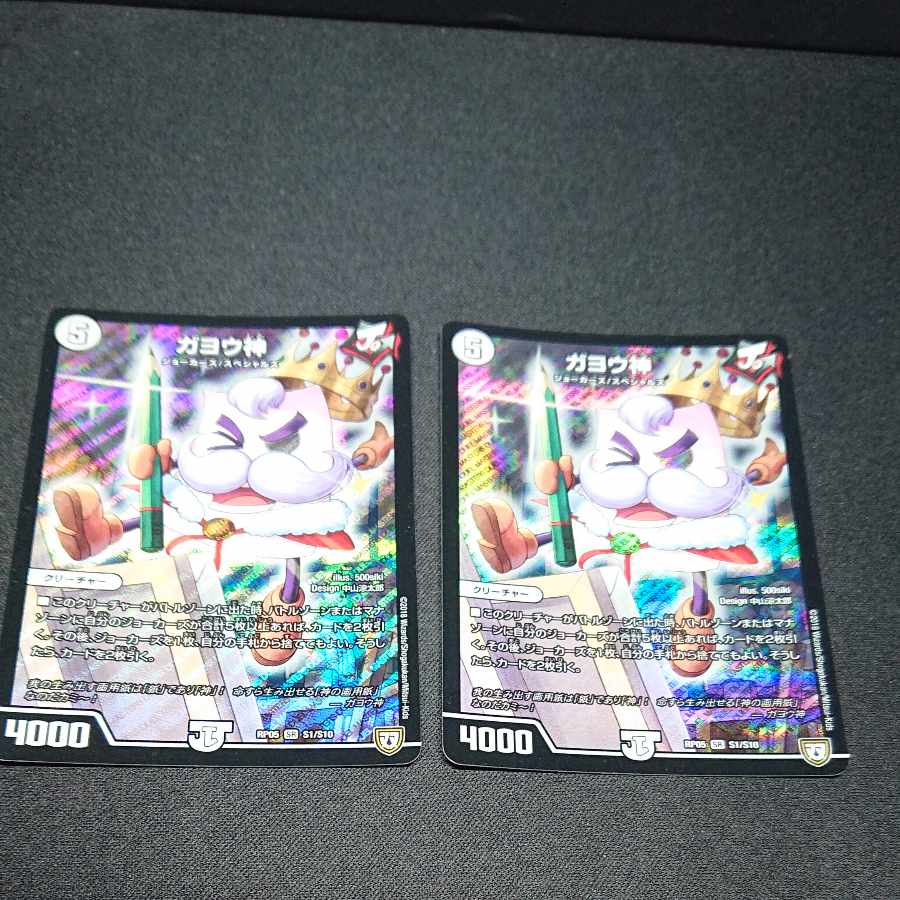 Gayojin SR S1/S10 [1435].