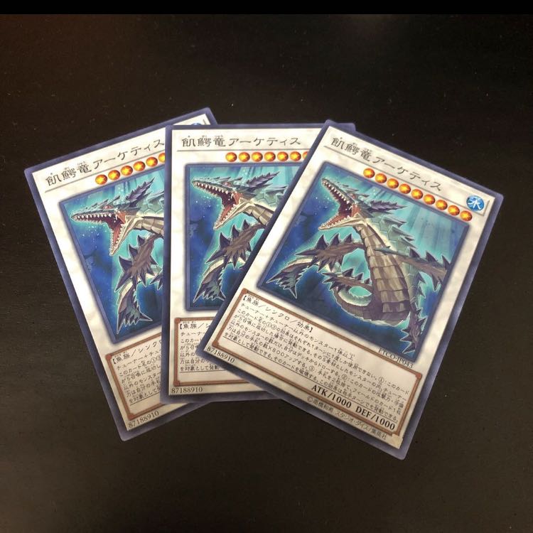 さわち屋様専用 【N】ランタン・シャーク、アーケティス【ノーマル】