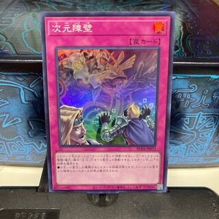 No.1567 P屋 Dimensional Barrier [Sue