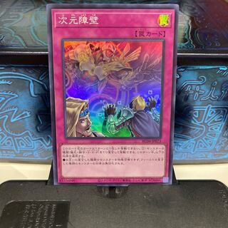 No.795 P屋 Dimensional Barrier