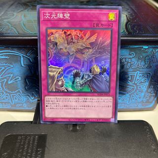 No.1602 P屋 Dimensional Barrier [Sue