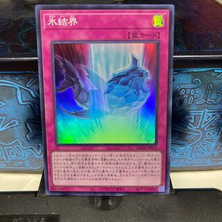 No.1646 P屋　氷結界 【スー】