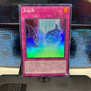 No.1647 P屋　氷結界 【スー】