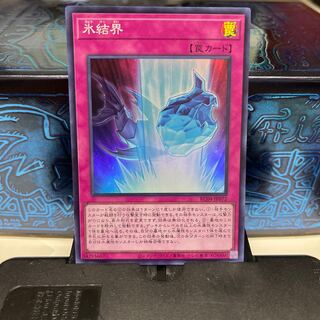 No.1648 P屋　氷結界 【スー】