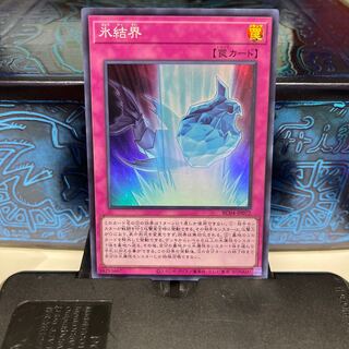 No.1649 P屋　氷結界 【スー】