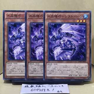 専用！　写真のセット！