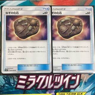 なぞの化石 2枚