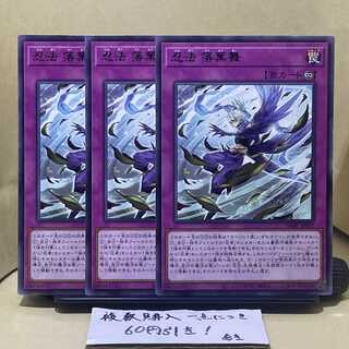 Ninpo Ochiba Mai rare JP077