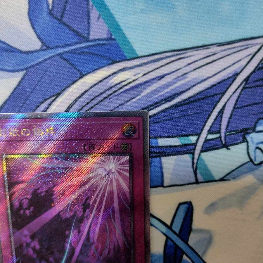 Shaddoll Schism EXSE JP078 (Extra Secret)