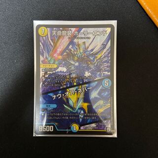 天命龍装ホーリーエンド/ナウ・オア・エバー