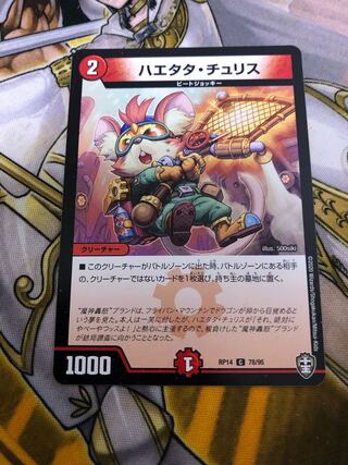 Haetata Chu Squirrel C 78/95