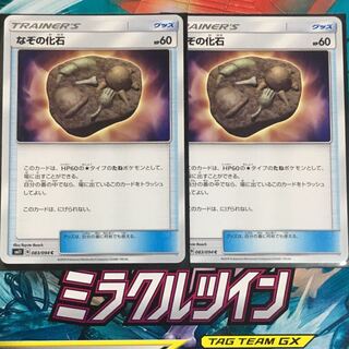 なぞの化石 2枚