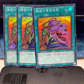 No.1707 P屋 Pot of Desires [Sioux