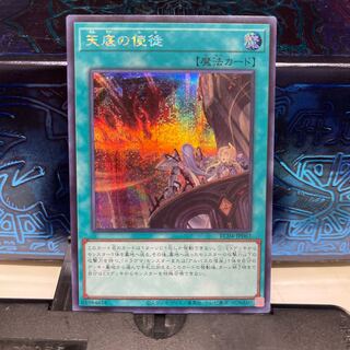 No.1711 P屋 Nadir Servant [Sikh].