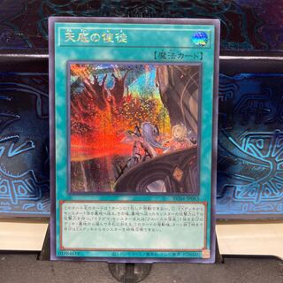 No.1712 P屋 Nadir Servant [Sikh].