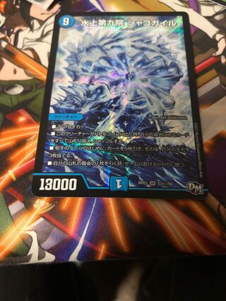 水上第九院 シャコガイル