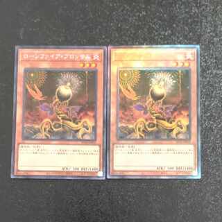 Lonefire Blossom Ultimate Rare JP002+ Collectors [Korindo].