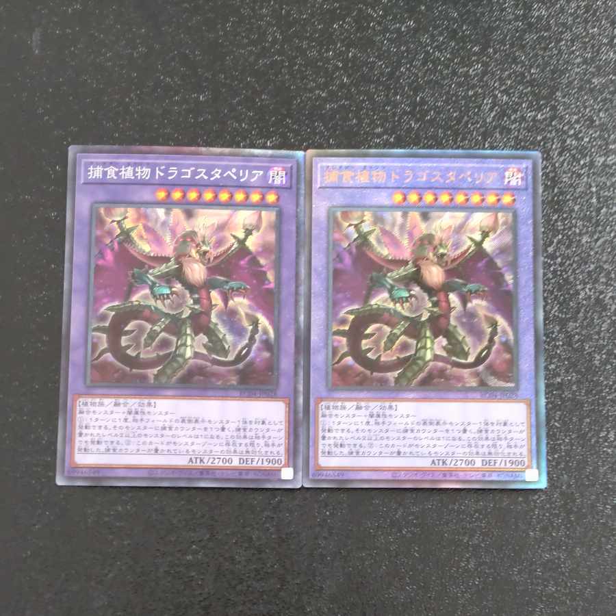 Predaplant Dragostapelia Ultimate Rare JP028+ Collectors [Korindo