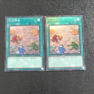 Fossil Dig Ultimate Rare JP054+ Collectors [Korindo].