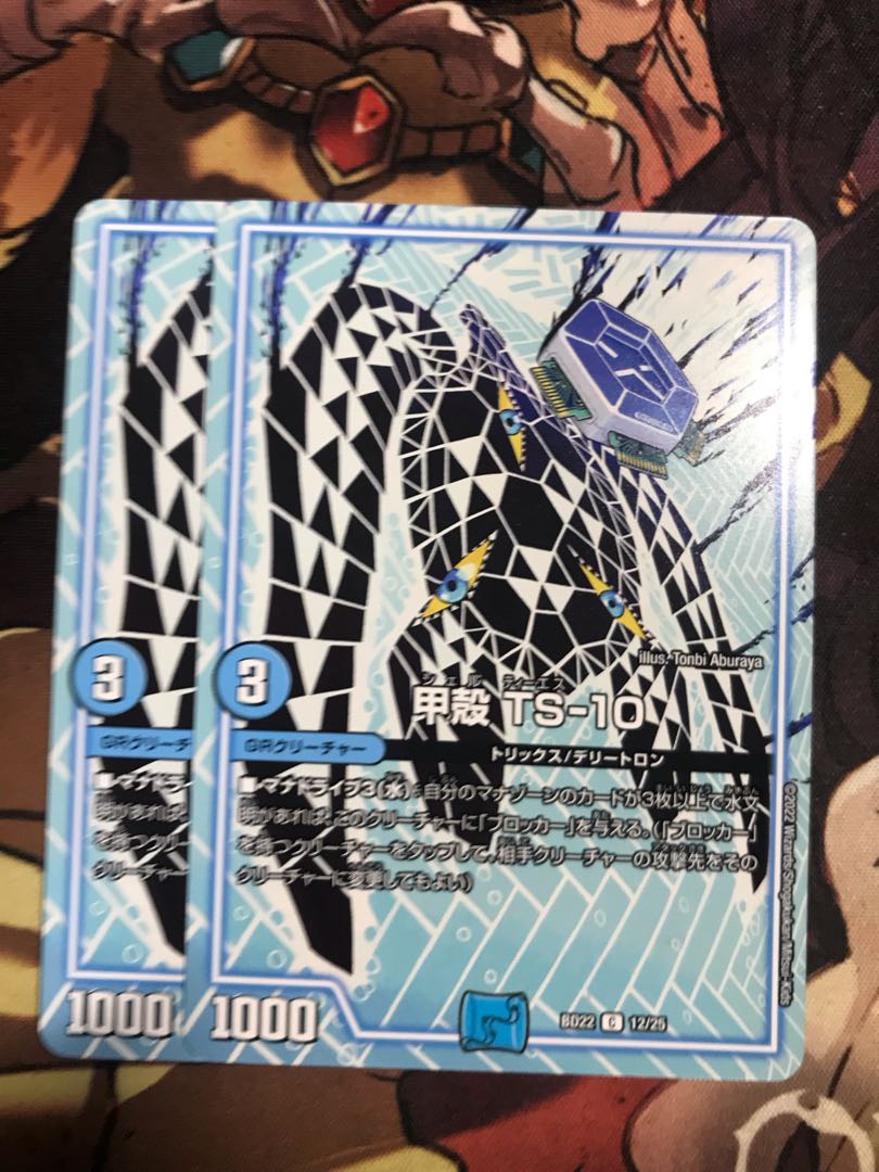 Carapace TS-10 C 12/25